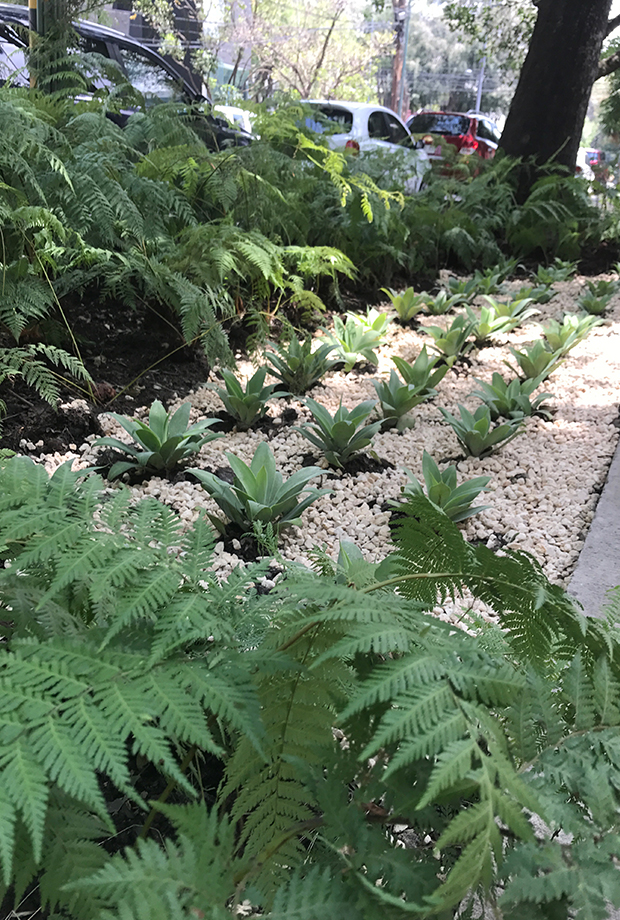 Calderon de la barca 89